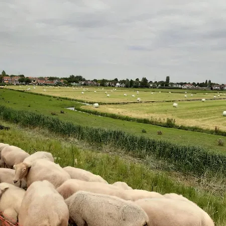 לינה וארוחת בוקר Tulp Noord