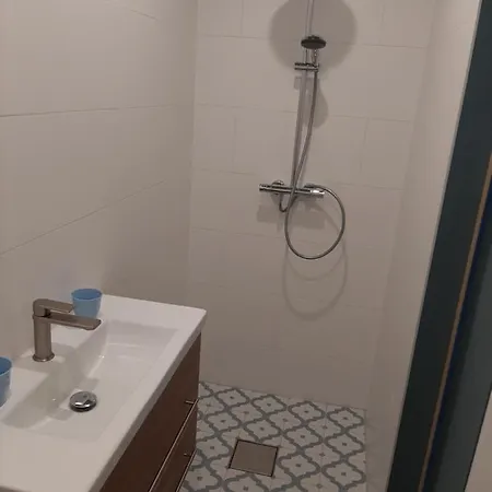 Tulp Noord Amsterdam