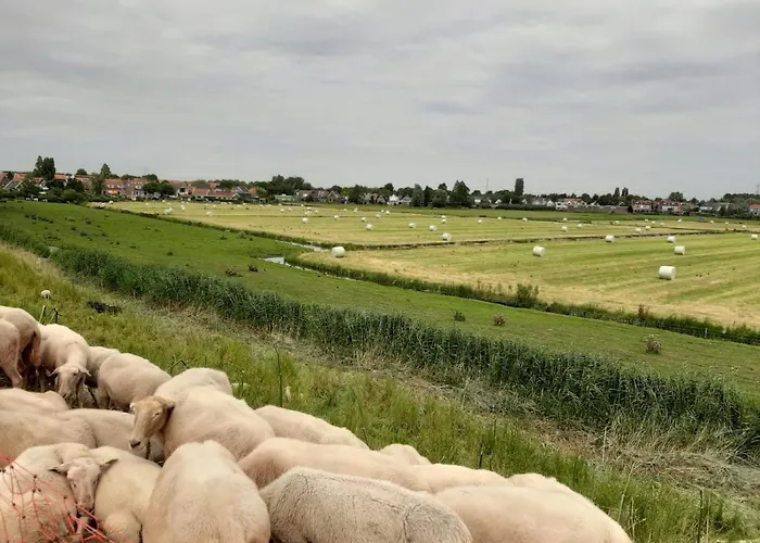 Frühstückspension Tulp Noord